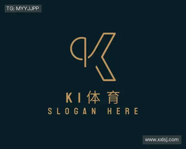 介绍K1体育官网